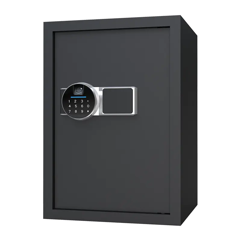 BS0150 48L Биометрический домашний сейф